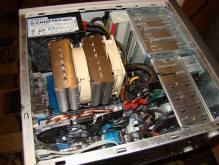 Noctua_real_1_
