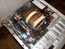 Noctua_real_3_