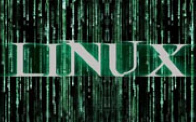 Основные команды в Linux