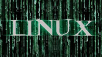Основные команды в Linux