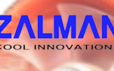 Zalman начала процедуру банкротства